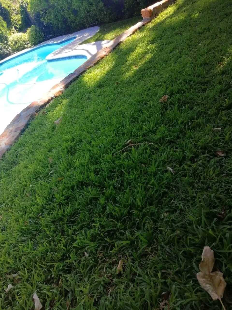Completed Lawn Installation